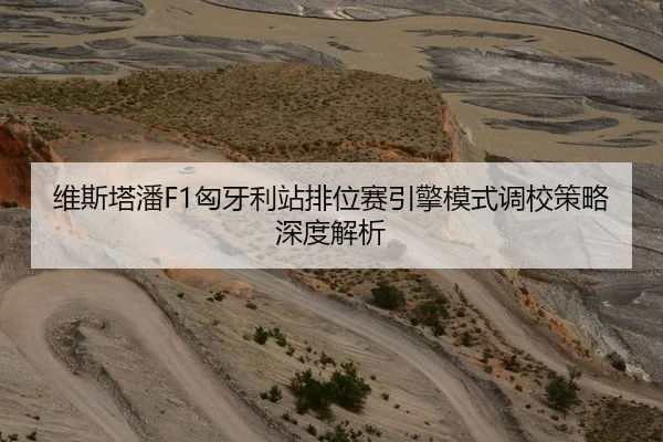 维斯塔潘F1匈牙利站排位赛引擎模式调校策略深度解析