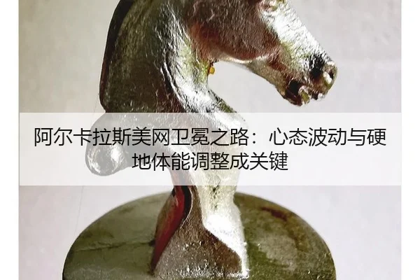 a-er-ka-la-si-mei-wang-wei-mian-zhi-lu-xin-tai-bo-dong-yu-ying-di-ti-neng-tiao-zheng-cheng-guan-jian-2-292.jpg