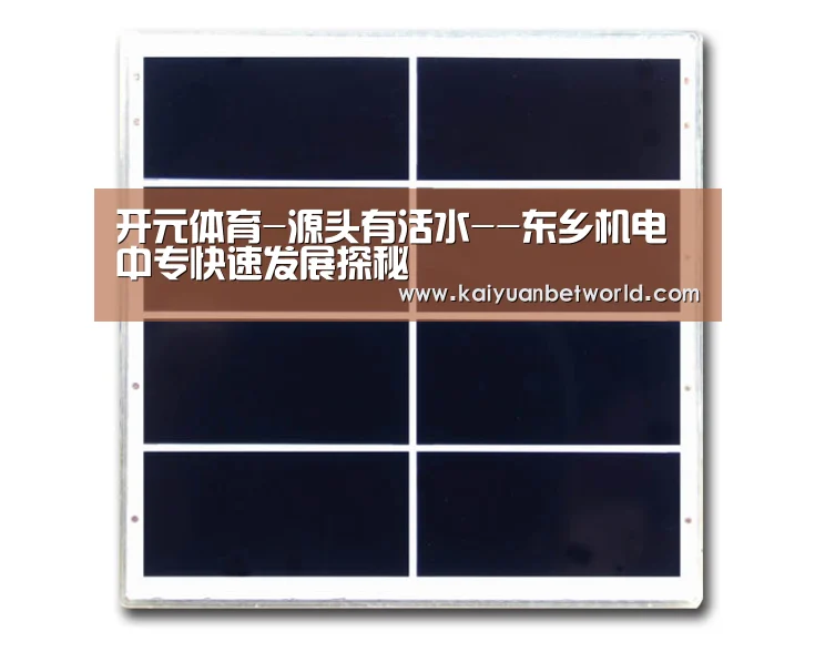 开元体育-源头有活水--东乡机电中专快速发展探秘(图1) 开元体育